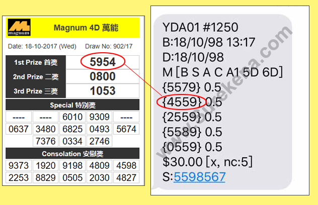 Magnum 4D Result - 15 October 2017
