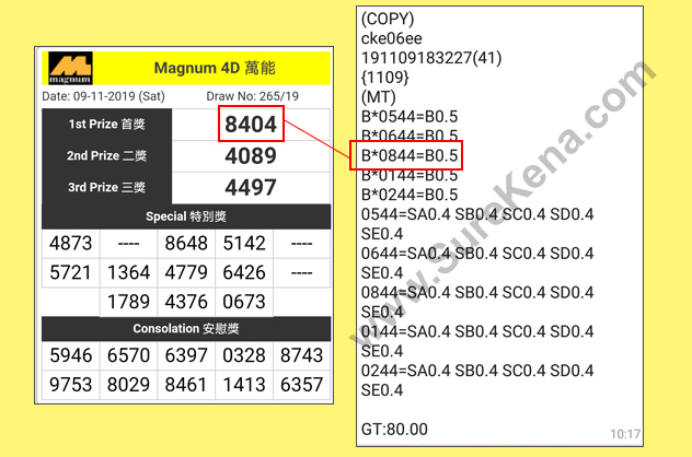 Magnum 4D Result - 9 November 2019